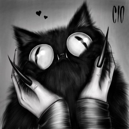 Черный кот в очках