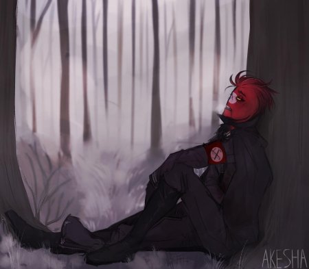 3 рейх кантрихьюманс