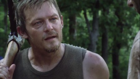 The walking dead daryl dixon