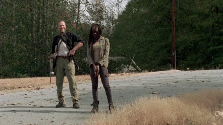 Ходячие мертвецы рик и мишон