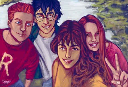 Гарри поттер арт гермиона рон и гарри