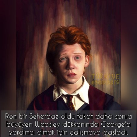 Рон уизли гарри поттер