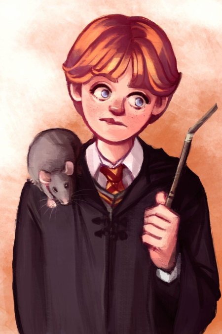 Рон уизли гарри поттер