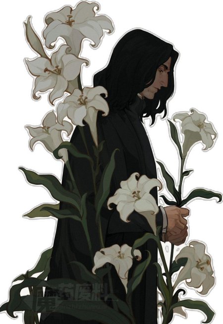 Гарри поттер северус снейп