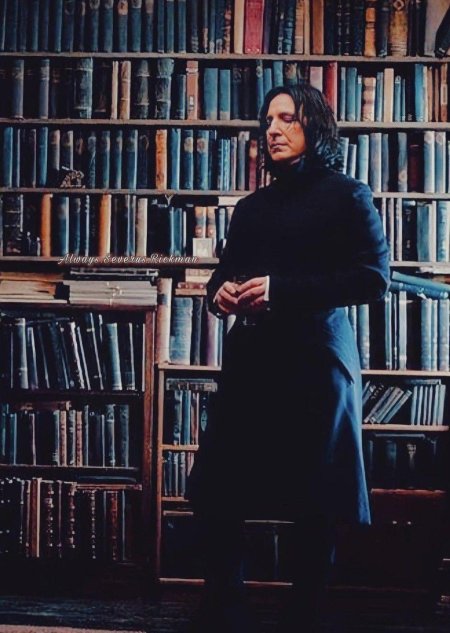 Гарри поттер и северус снейп