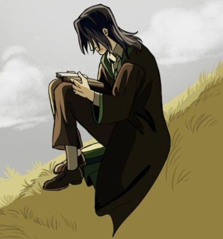 Гарри поттер северус снейп