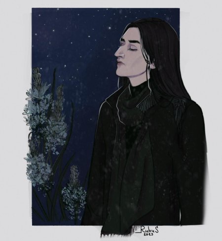 Северус снейп гарри поттер