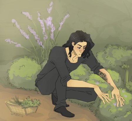 Северус снейп гарри поттер