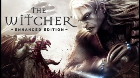 The witcher enhanced edition