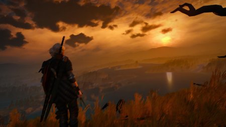 Ведьмак 3 ciri