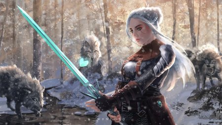 Ведьмак цири арт