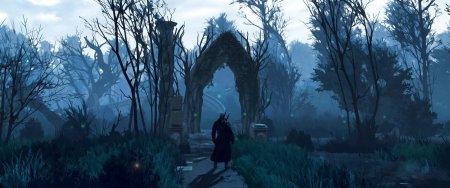 Ведьмак 3 болота