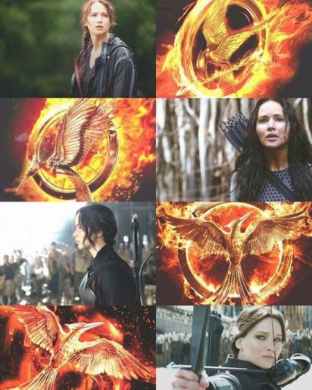 Сойка пересмешница голодные игры