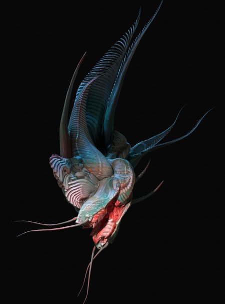 Фантастические рыбы