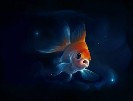 Золотая рыбка