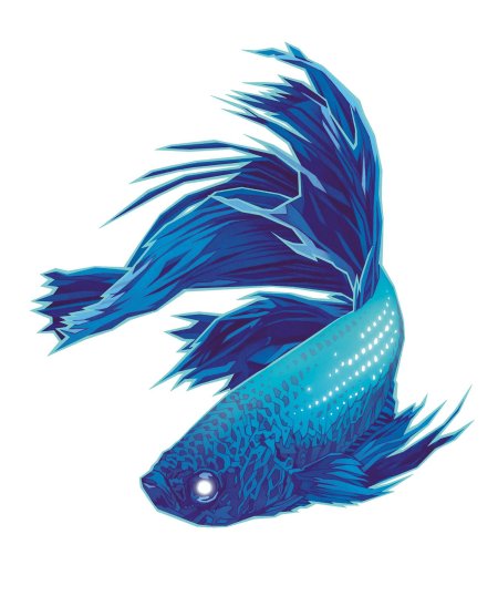 Рыбка петушок синий