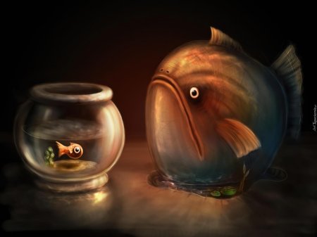 Прикольные рыбки