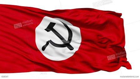 Национал большевизм флаг