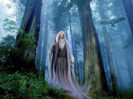 Друиды кельтов