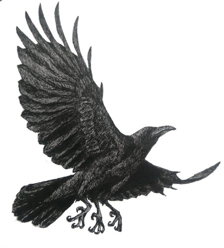 Ворон ятагарасу