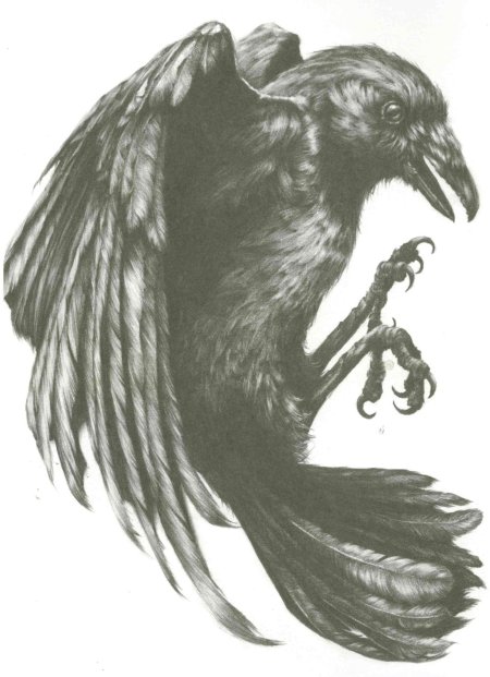 Ворон тату эскиз