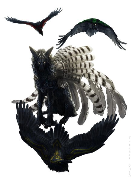 Коракс ворон оборотень