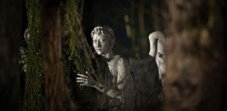 Weeping angel doctor who