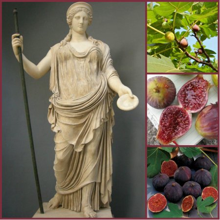 Гера древняя греция