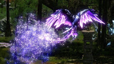 Черный феникс архейдж фамильяр