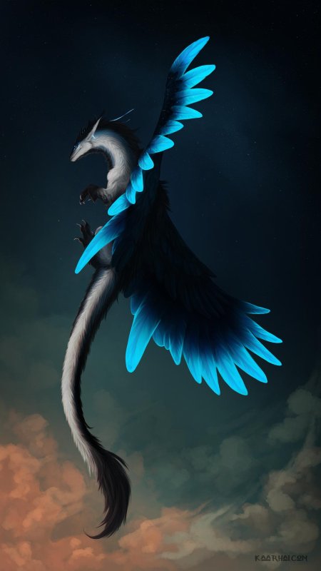 Сумеречная фурия дракон самка