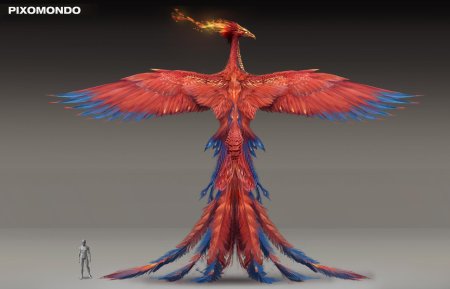 Феникс гуань