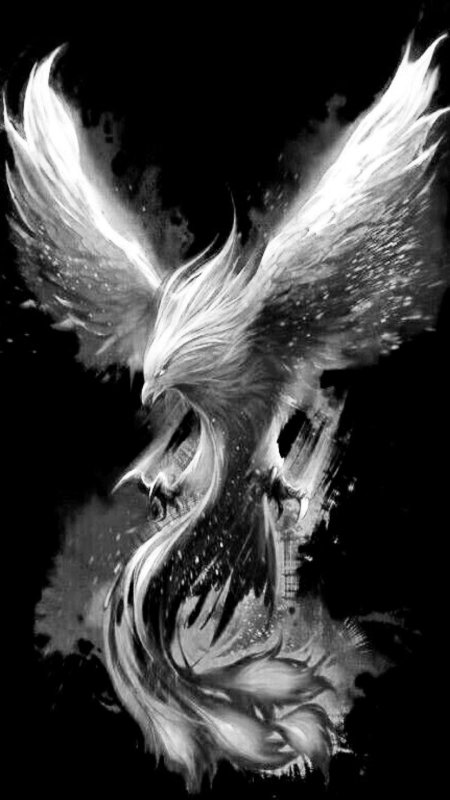 Птица феникс