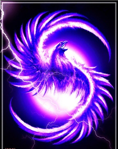 Птица феникс