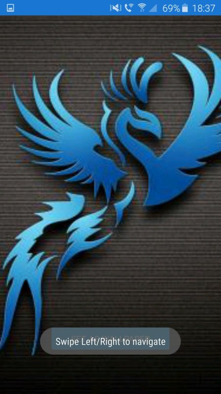 Синий феникс