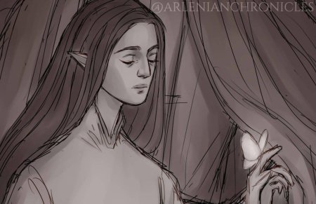 Трандуил мирквуд