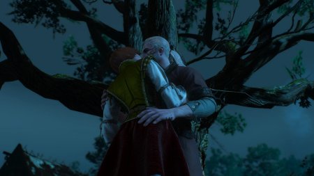 Шани ведьмак 3 каменные сердца