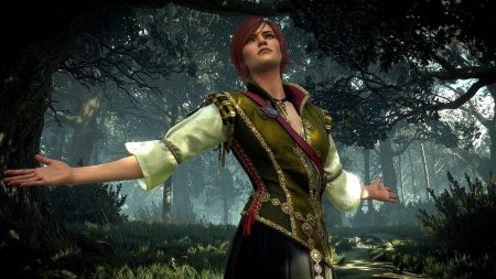 Шани ведьмак 3