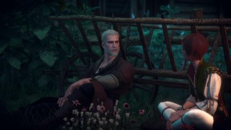 Шани ведьмак 3 каменные сердца