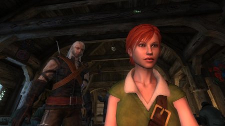 Шани ведьмак 1