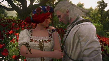 Ведьмак трисс меригольд