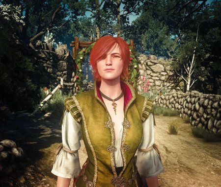 Шани ведьмак 3