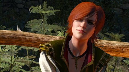 Ведьмак 3 шани