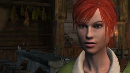 Шани ведьмак 1