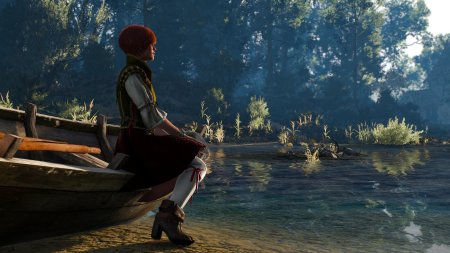 Ведьмак 3 шани