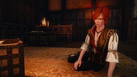 Ведьмак 3 шани