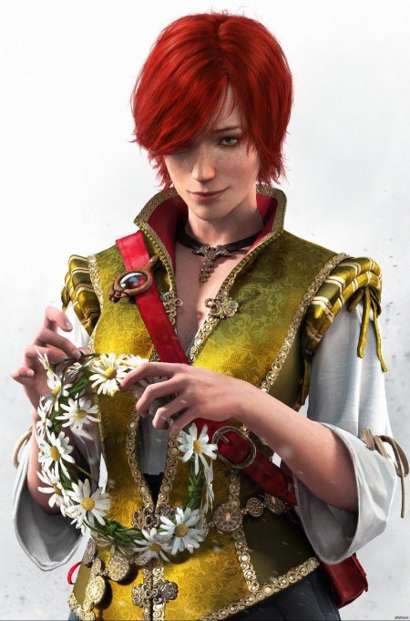 Ведьмак 3 шани