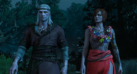 Шани в ведьмак 3