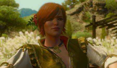 Ведьмак 3 шани