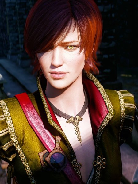 Ведьмак 3 шани