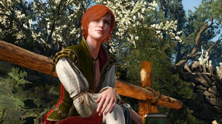 Шани ведьмак 3